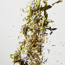 Load image into Gallery viewer, Masha Tea- Dream