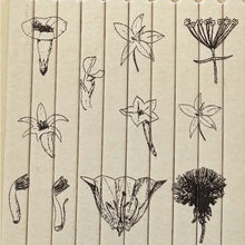 Load image into Gallery viewer, The Quiet Botanist Botanical Matches